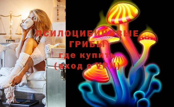 метадон Алексин