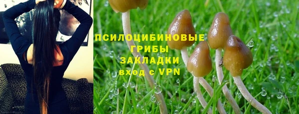 не бодяженный Абинск