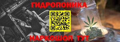 прущие крисы Гусев