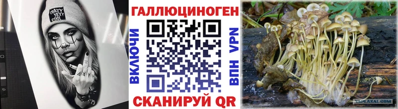 Псилоцибиновые грибы мухоморы  хочу наркоту  Омск 